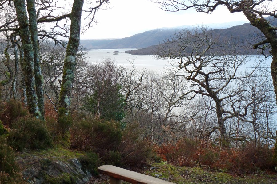 A bench with a view at the southern end of the Salen Oakwoods walk