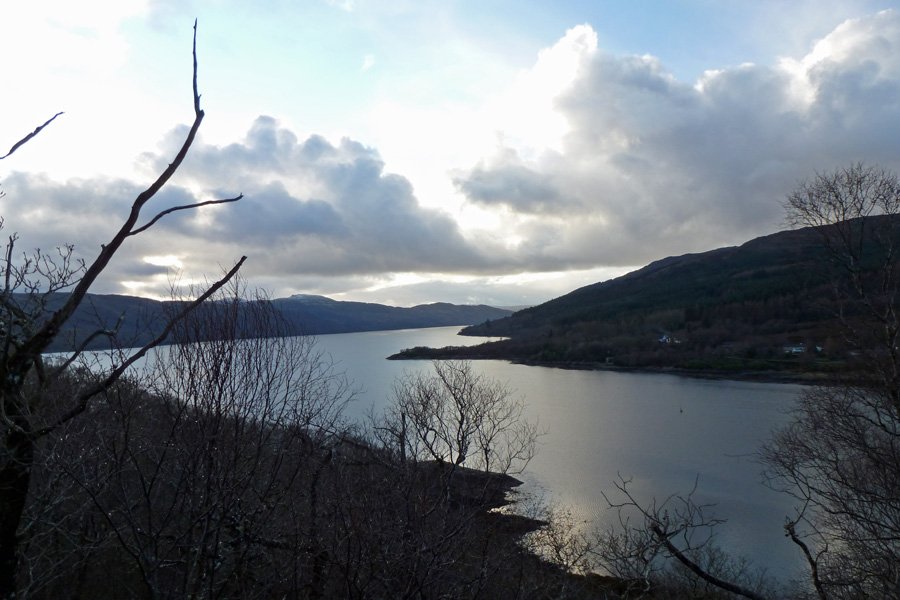 Looking down Loch Sunart from the Salen Oakwoods walk in December