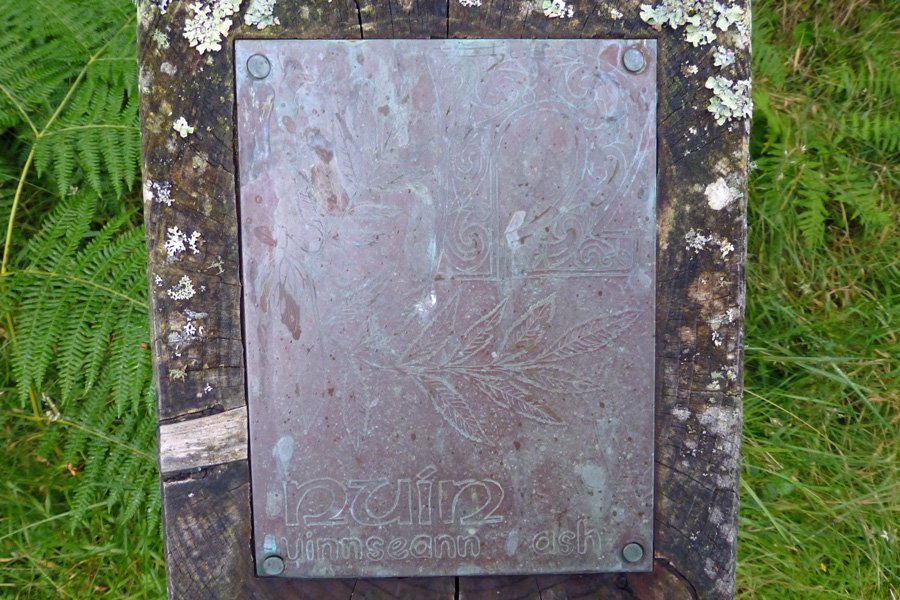 The Gaelic Alphabet Trail - N  is for nuin - the gaelic name for an ash tree