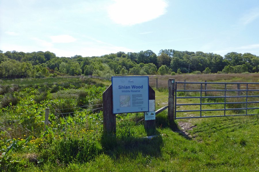The entrance to Shian Wood, a Scottish Wildlife Trust Reserve