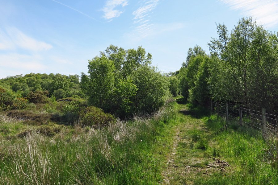 The track from the car park leading into Shian Wood