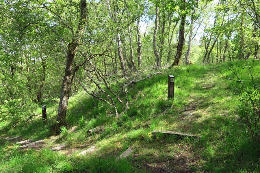 The junction for the shorter route through Shian Wood