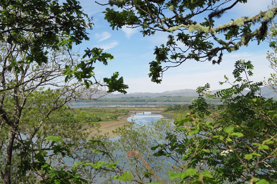 Views over the southern end of Loch Creran
