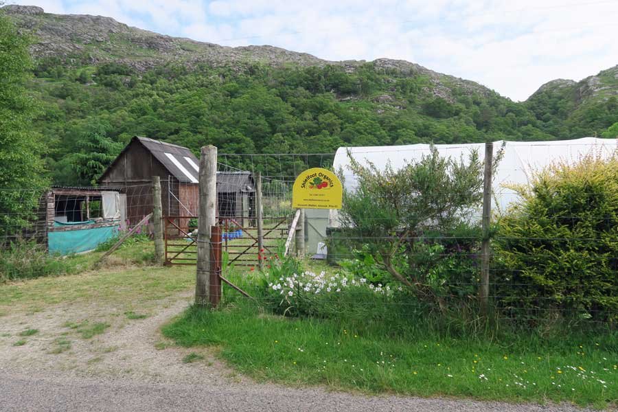 The start of the path to Shielfoot Torr, opposite Shielfoot Organics