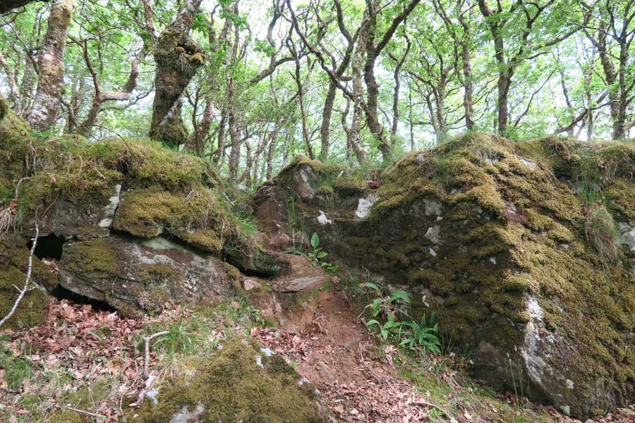 Follow the path north from the field up the west side of the hill