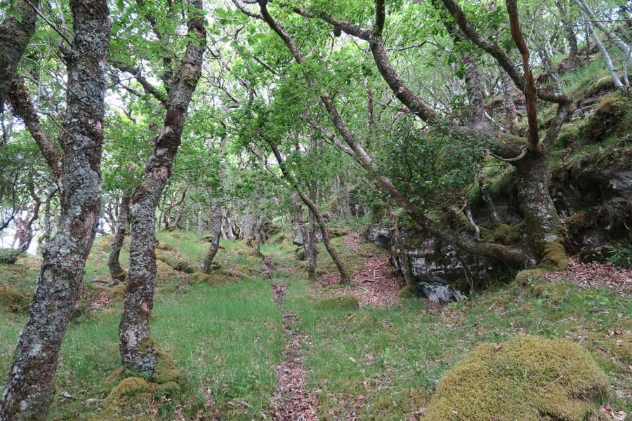 Follow the path north from the field up the west side of the hill