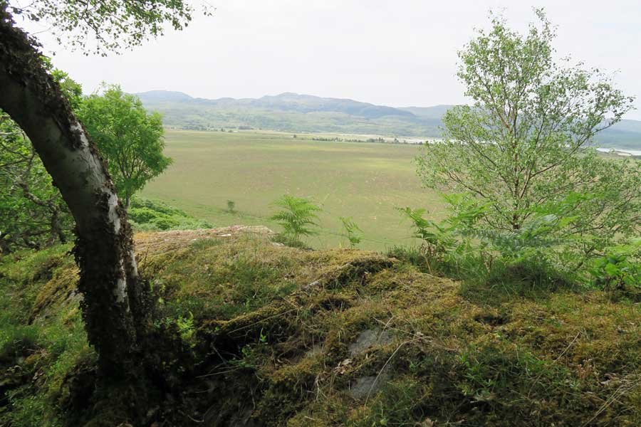 Looking over Kentra Bay from Shielfoot Torr
