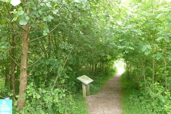 The walk finshes with a lovely riverside section by the River Coe