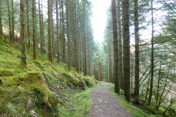 The start of the Silver Walk near Kinlochmoidart