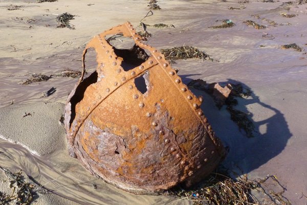 Some of the unusual 'treasures' on the beach