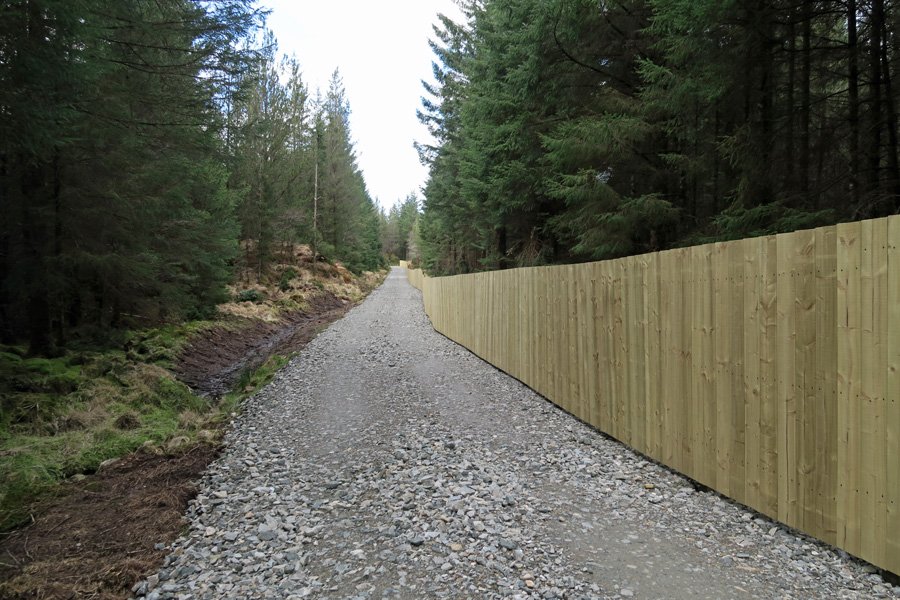 The new fenceline running along the first section of path in the plantation area