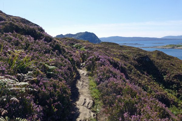 The heather lined paths to the beach can be a little boggy and uneven in places though are an absolute delight on a sunny day.