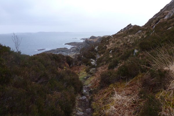 The heather lined paths can be somewhat boggy