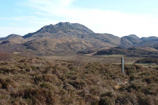 Wild Ardnamurchan in March