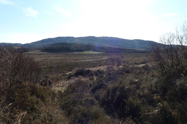 Where the woodland path emerges to the heathland on The Sonachan woodland walk