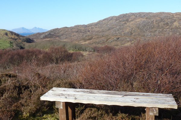 The bench at the viewpoint