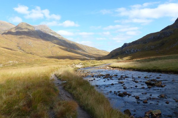 The path across the upland meadow
