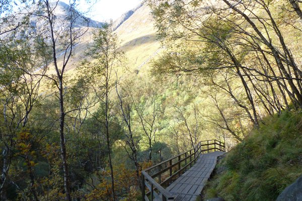 The boardwalk section with good views