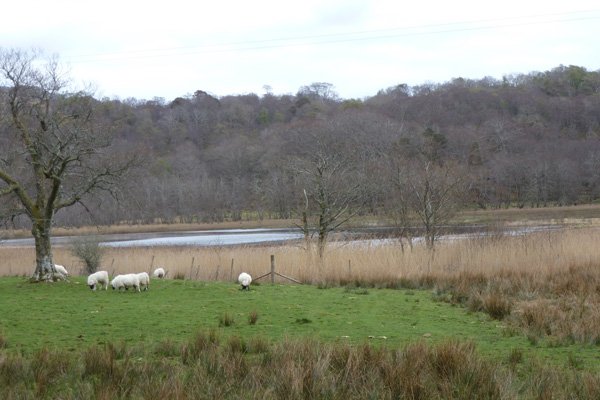 Loch nan Eala (Loch of the swans)