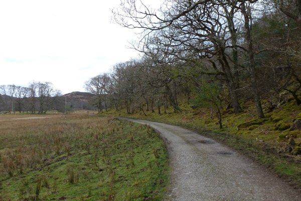 The track passes by mature atlantic oakwoods