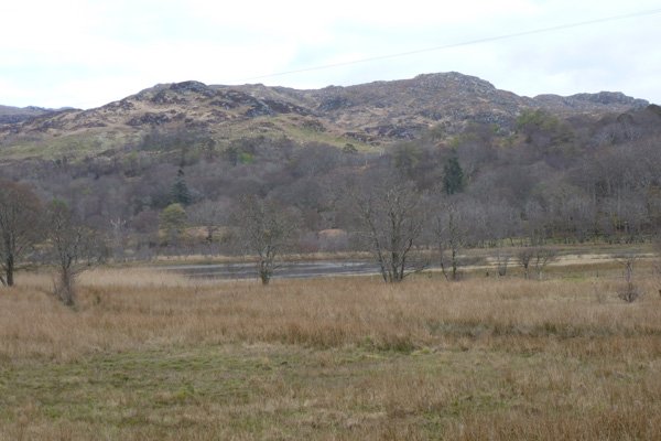 Looking back at the reedbeds fringing Loch nan Eala