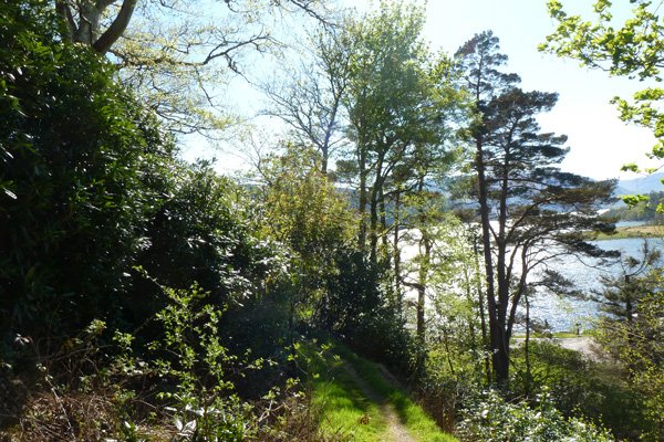 Views of Loch Sunart
