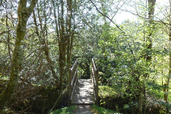A small bridge with steps
