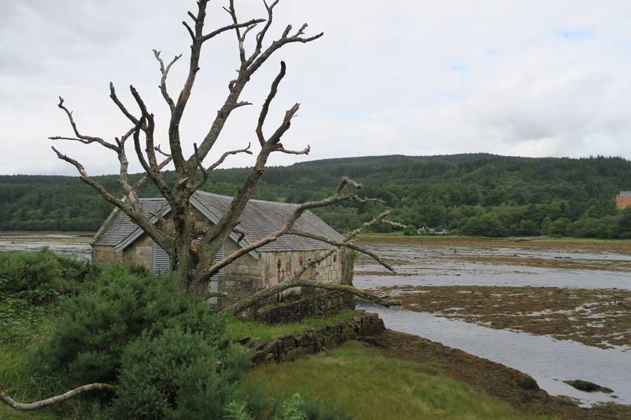 Tennyson's Waterfall Walk, Ardtornish, Morvern