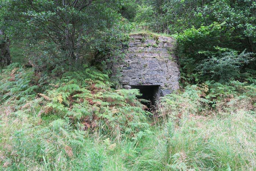 Tennyson's Waterfall Walk, Ardtornish, Morvern