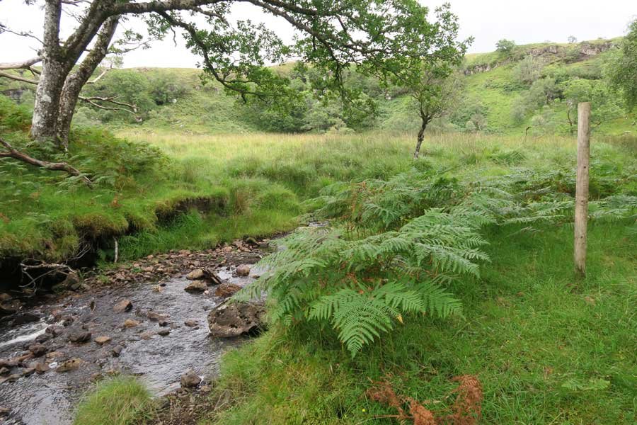 Tennyson's Waterfall Walk, Ardtornish, Morvern