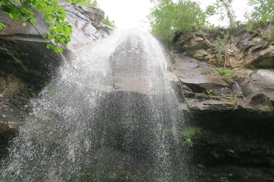 Tennyson's Waterfall Walk, Ardtornish, Morvern