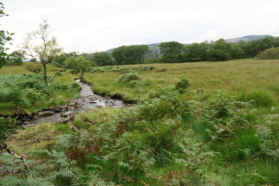 Tennyson's Waterfall Walk, Ardtornish, Morvern