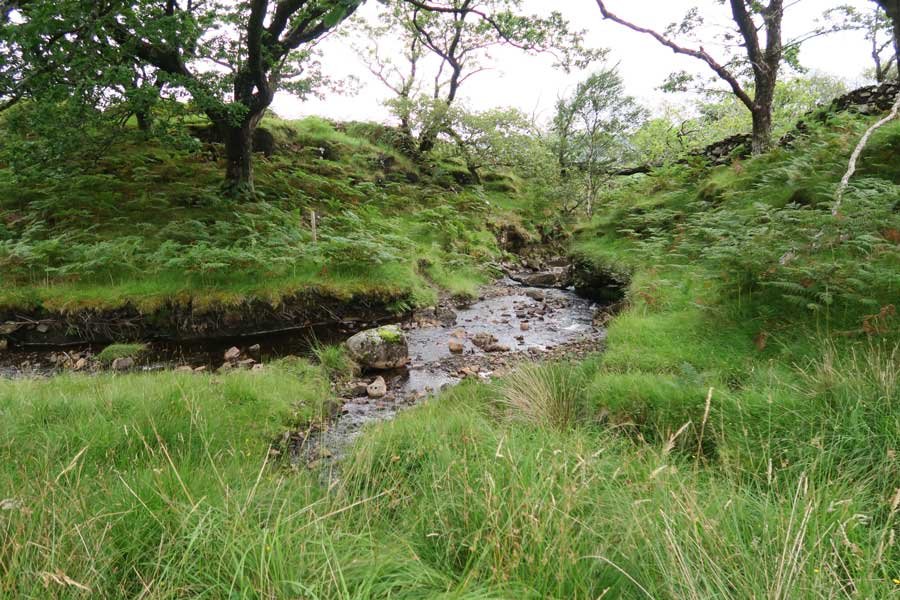 Tennyson's Waterfall Walk, Ardtornish, Morvern