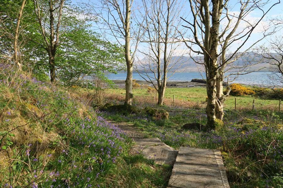 Achnaha Community Woodland
