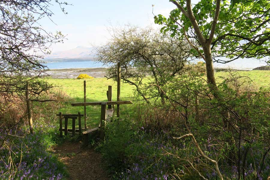 Achnaha Community Woodland