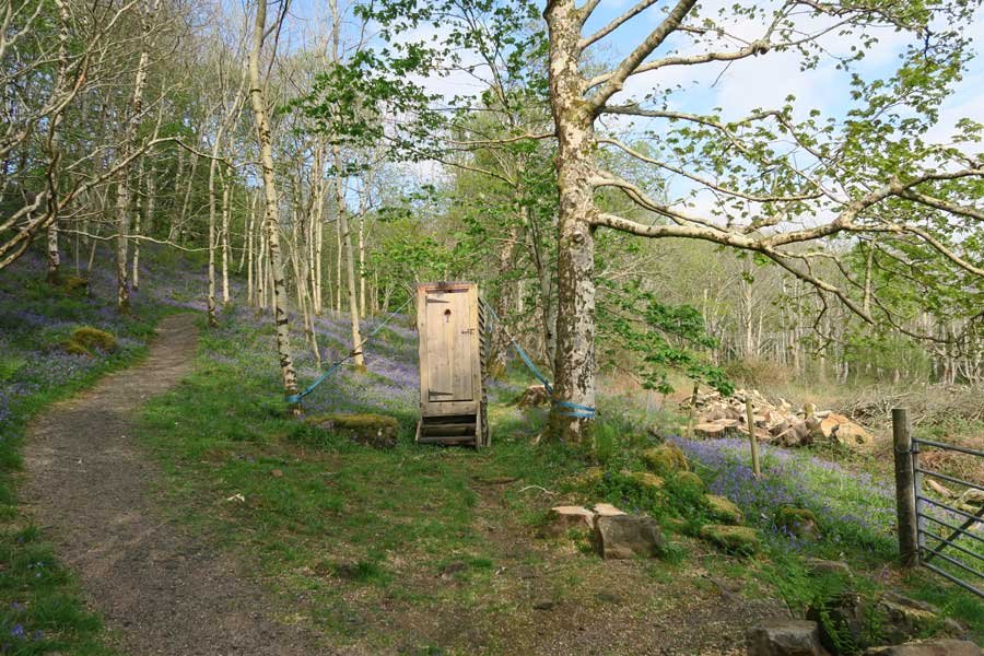 Achnaha Community Woodland