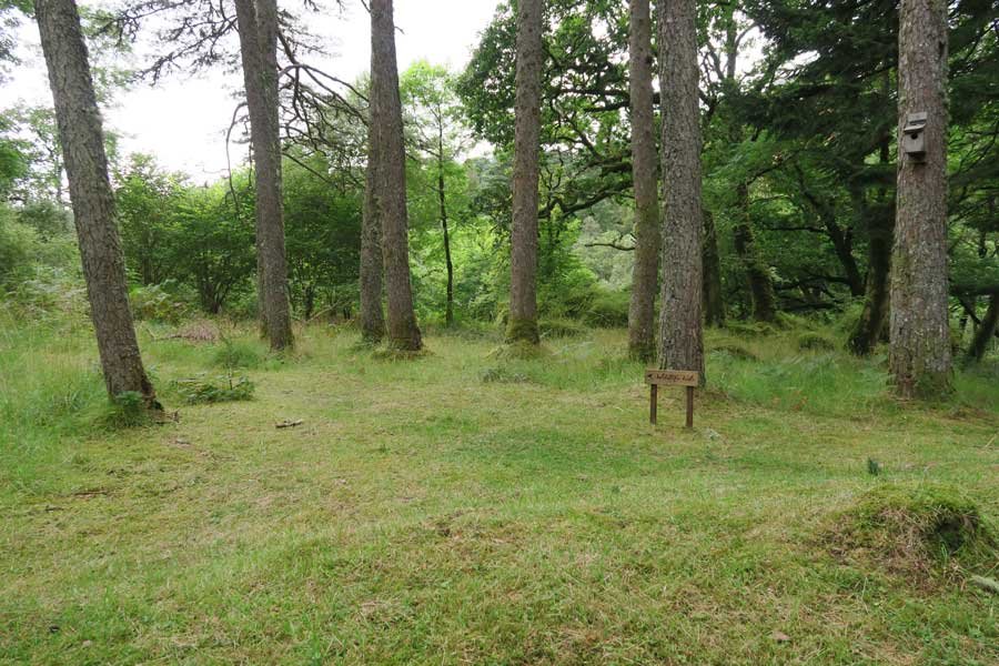 Ardtornish Wildlife Hide