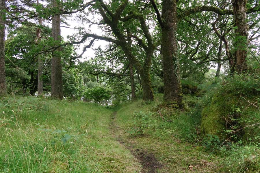 Ardtornish Wildlife Hide