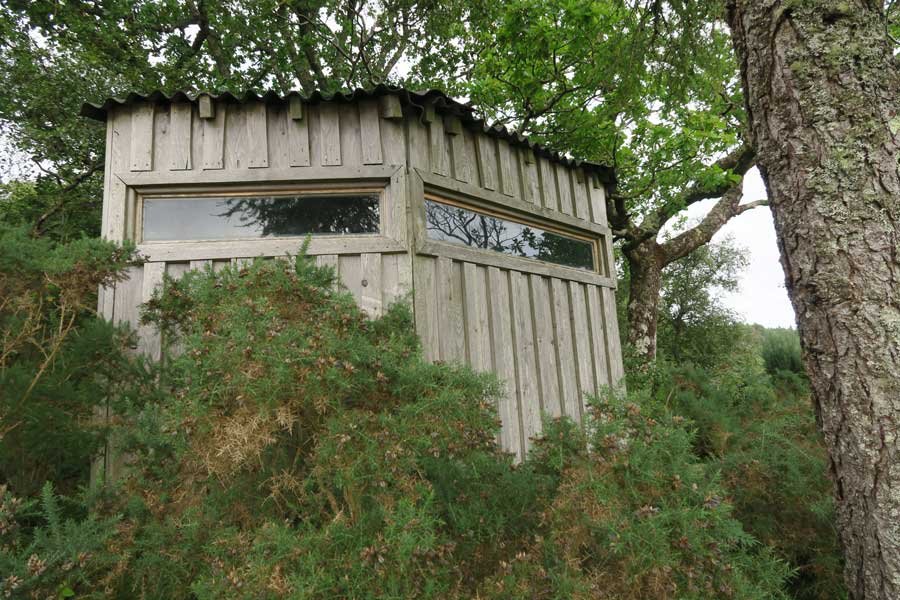Ardtornish Wildlife Hide