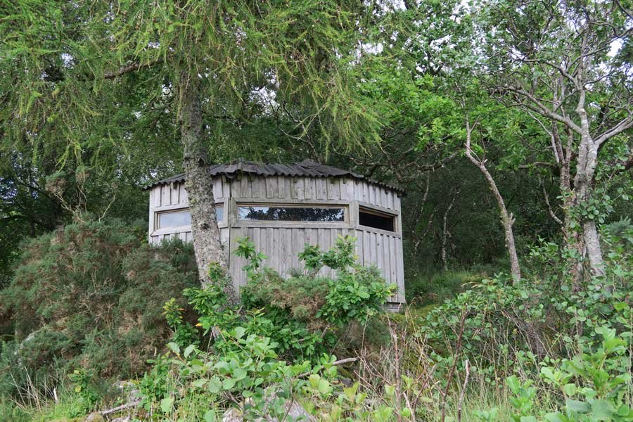 Ardtornish Wildlife Hide