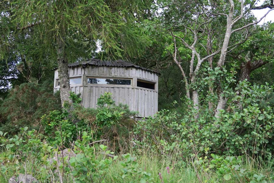 Ardtornish Wildlife Hide