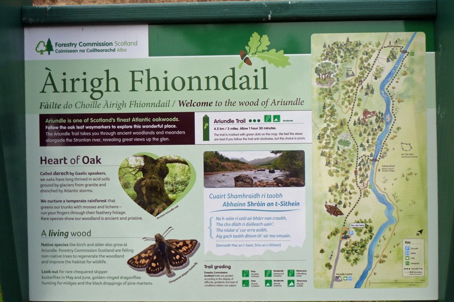 One of the Forestry Commission interpretation boards at Ariundle
