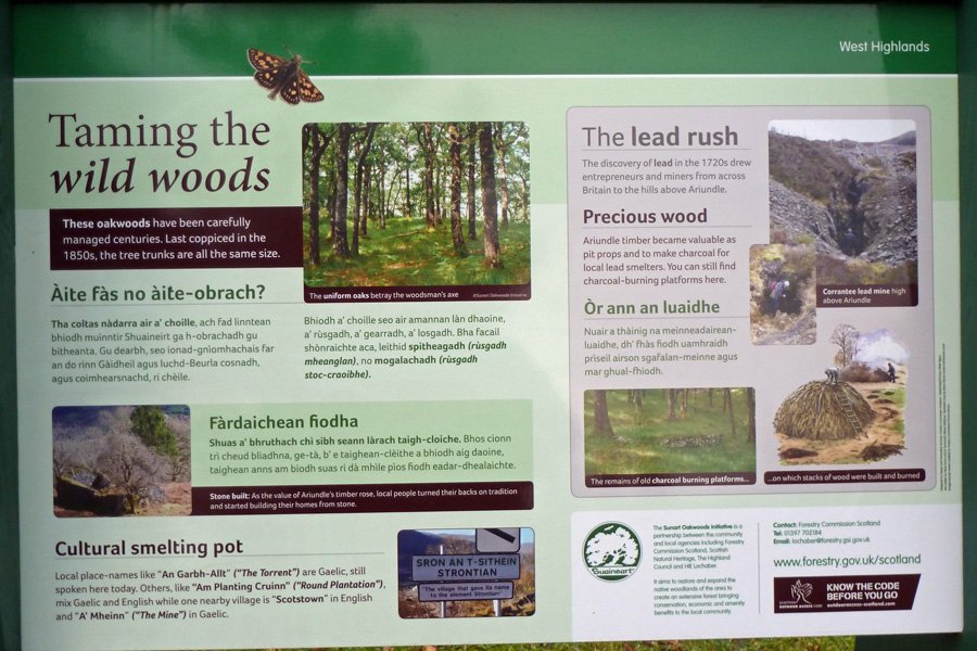 Taming the Wild Woods - a history of Ariundle Oakwoods