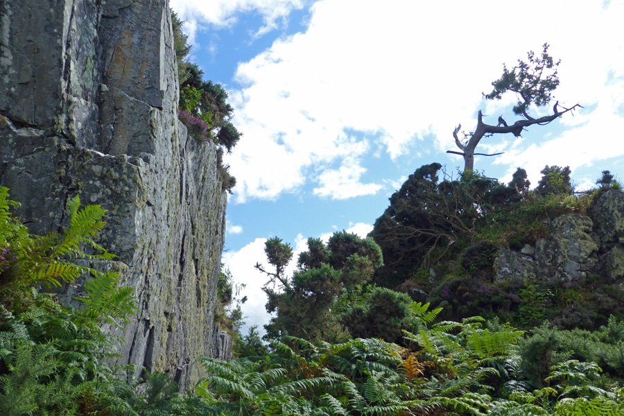 The escarpment  - a lovely walk to the far beaches