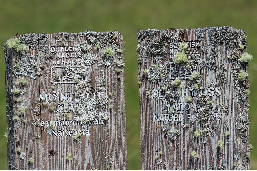 The old lichen covered sign for The Claish Moss (former)  NNR