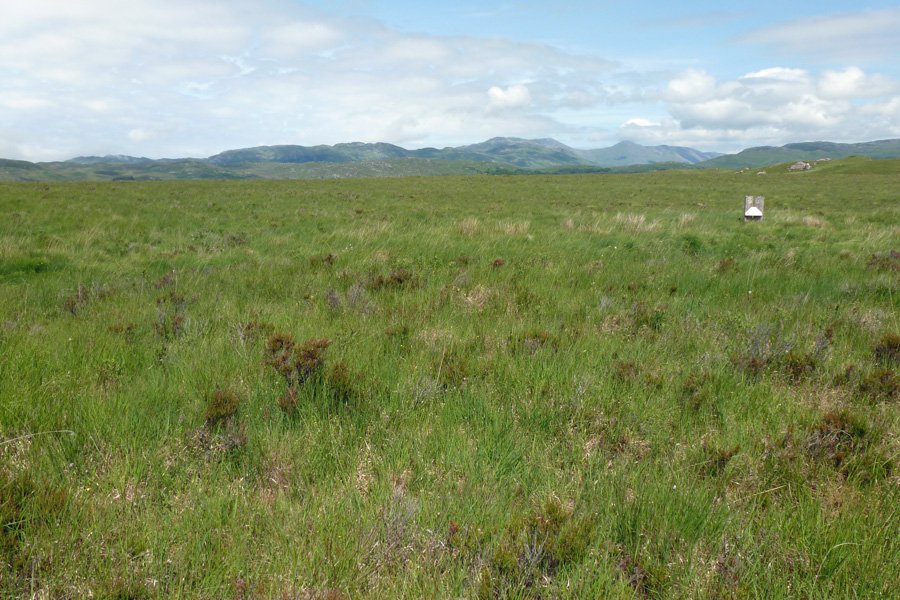 Claish Moss