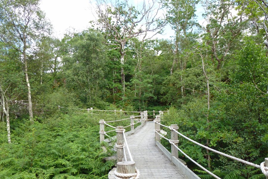 The boardwalk to the Garbh Eilean wildlife hide