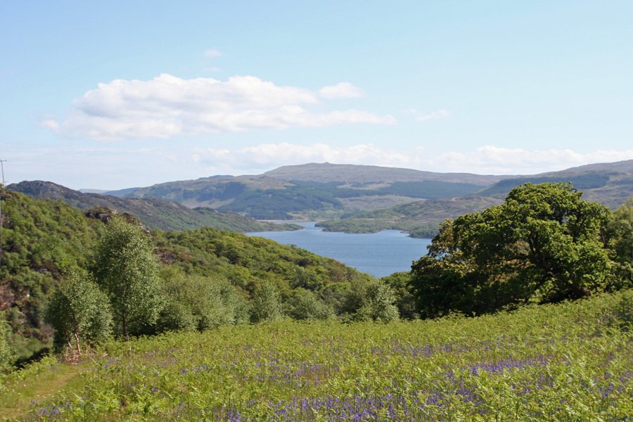 Looking towards Loch Sunart from Glenborrodale RSPB nature reserve