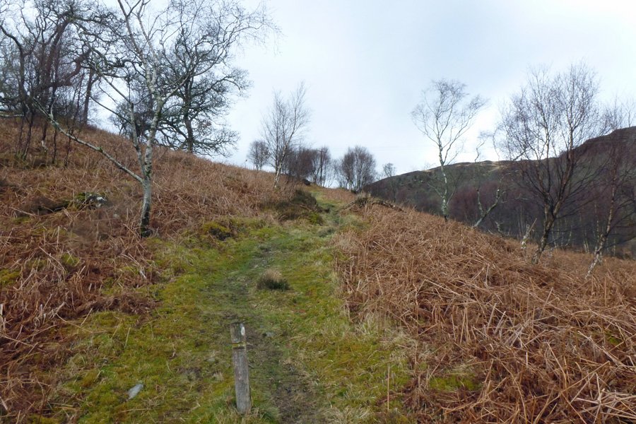 The path up the hill is a good place to see fritillaries in summer