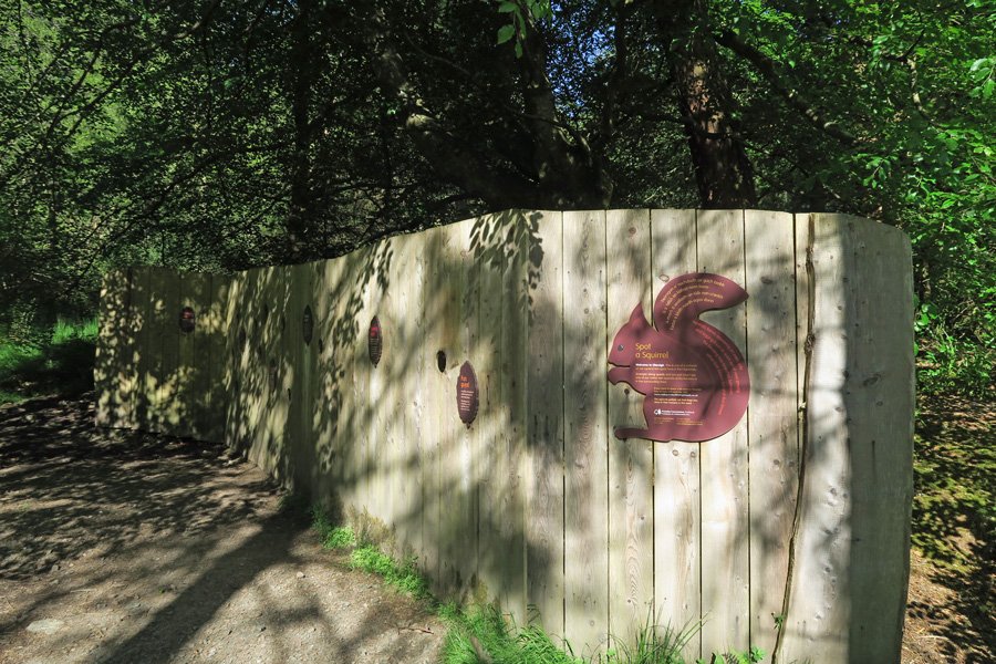 The hide at Inchree